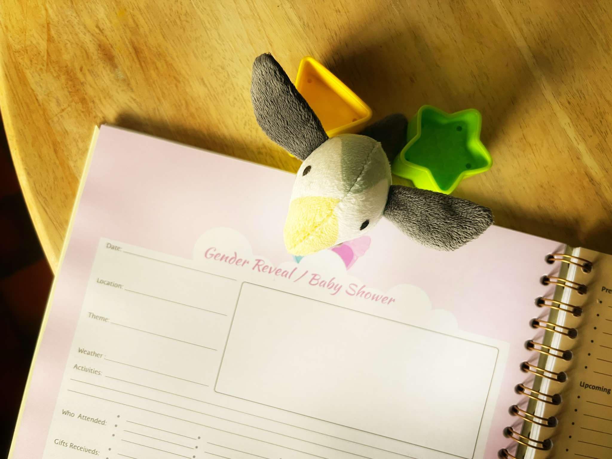 Luxury Pregnancy Journal – The Perfect Pregnancy Gift for First-Time Parent (Irish Brand))